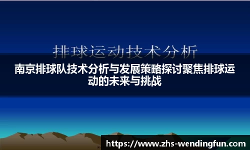 南京排球队技术分析与发展策略探讨聚焦排球运动的未来与挑战
